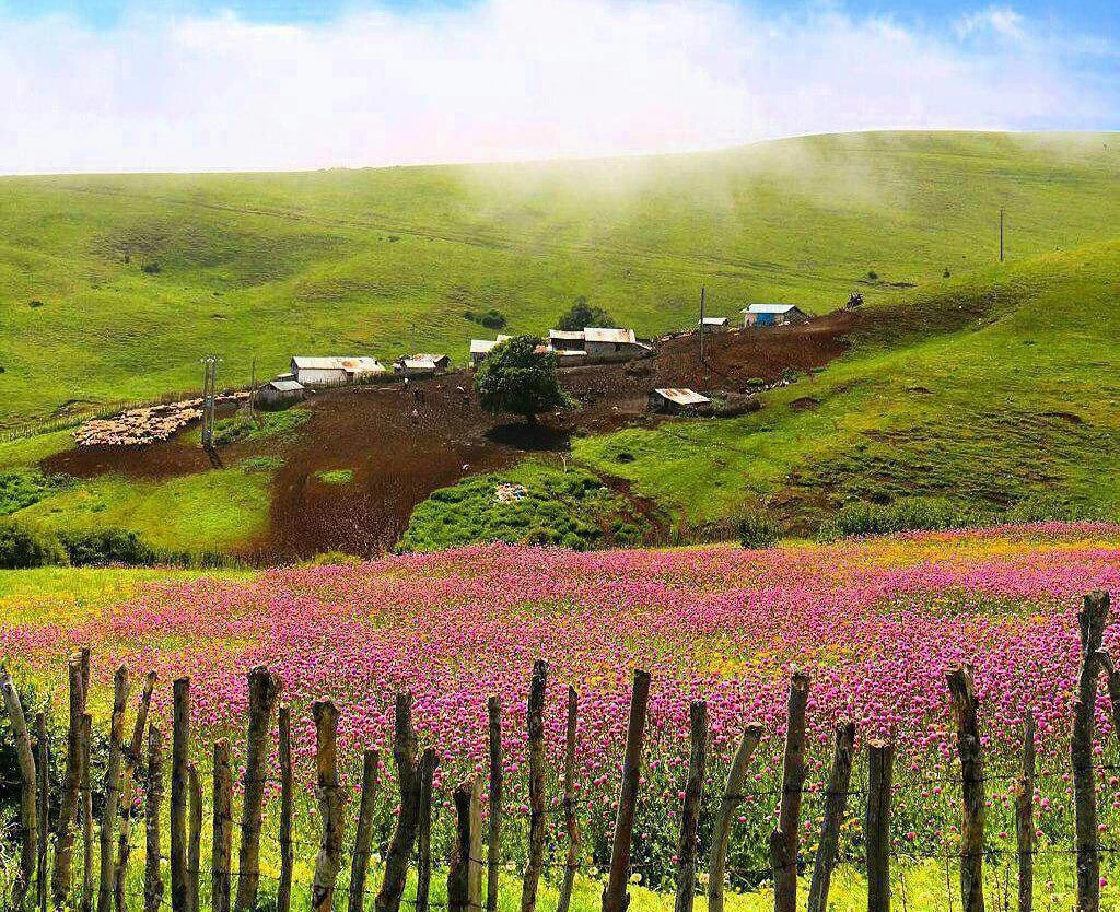 دهکده هلودشت؛ زیباترین روستای ایران کجاست؟