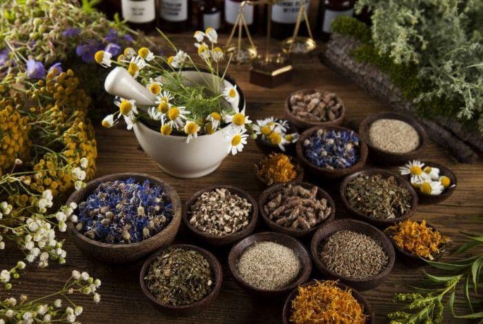 این گیاه تلخ برای روده ها خواص شیرین دارد