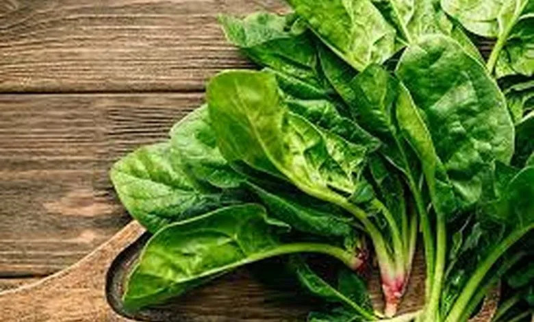 ابرغذای تقویت‌کننده سیستم ایمنی؛ این خوراکی‌ رافراموش نکنید!