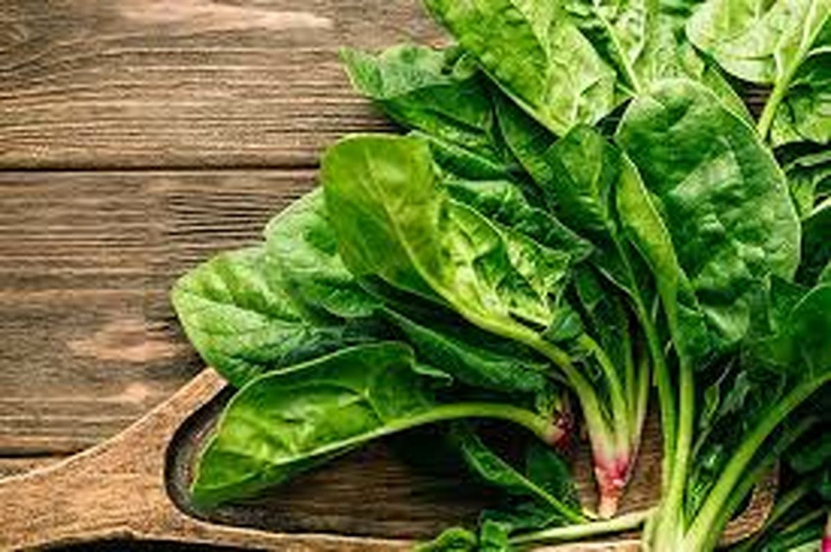 خشک کردن اسفناج در خانه؛ ۳ راه ساده و سریع