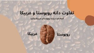 تفاوت قهوه عربیکا و روبوستا که باید در انتخاب قهوه بدانید
