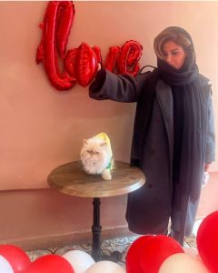 جشن ولنتاین لاکچری رز رضوی برای گربه اش+تصویر