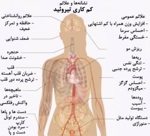 اختلال تیروئید چه بلایی سر بدنمان می آورد؟ +تصویر