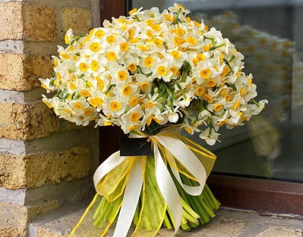 آموزش خشک کردن گل نرگس/بهترین گزینه برای دیزاین هفت سین+تصویر