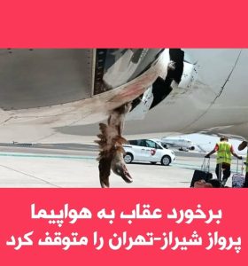 برخورد عقاب به هواپیما شیراز به تهران حادثه آفرید+تصویر