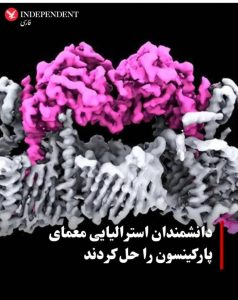 دانشمندان معمای پارکینسون را حل کردند+تصویر