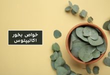 خواص معجزه بخش بخور اکالیپتوس را بشناسید+تصویر