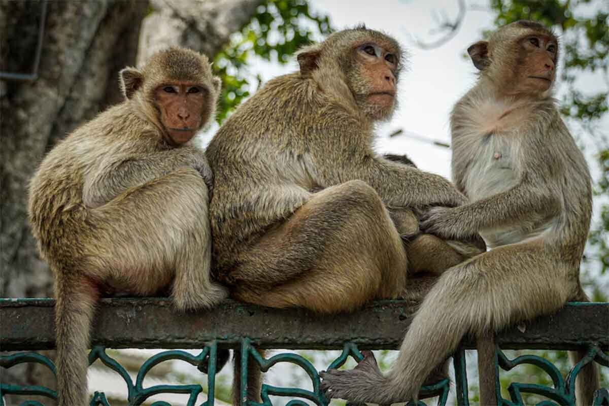 بیماری «بهتاش» در «پایتخت» واقعی بود؟