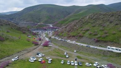 دره ارغوان، یکی از زیباترین و بکرترین مناطق طبیعی ایران