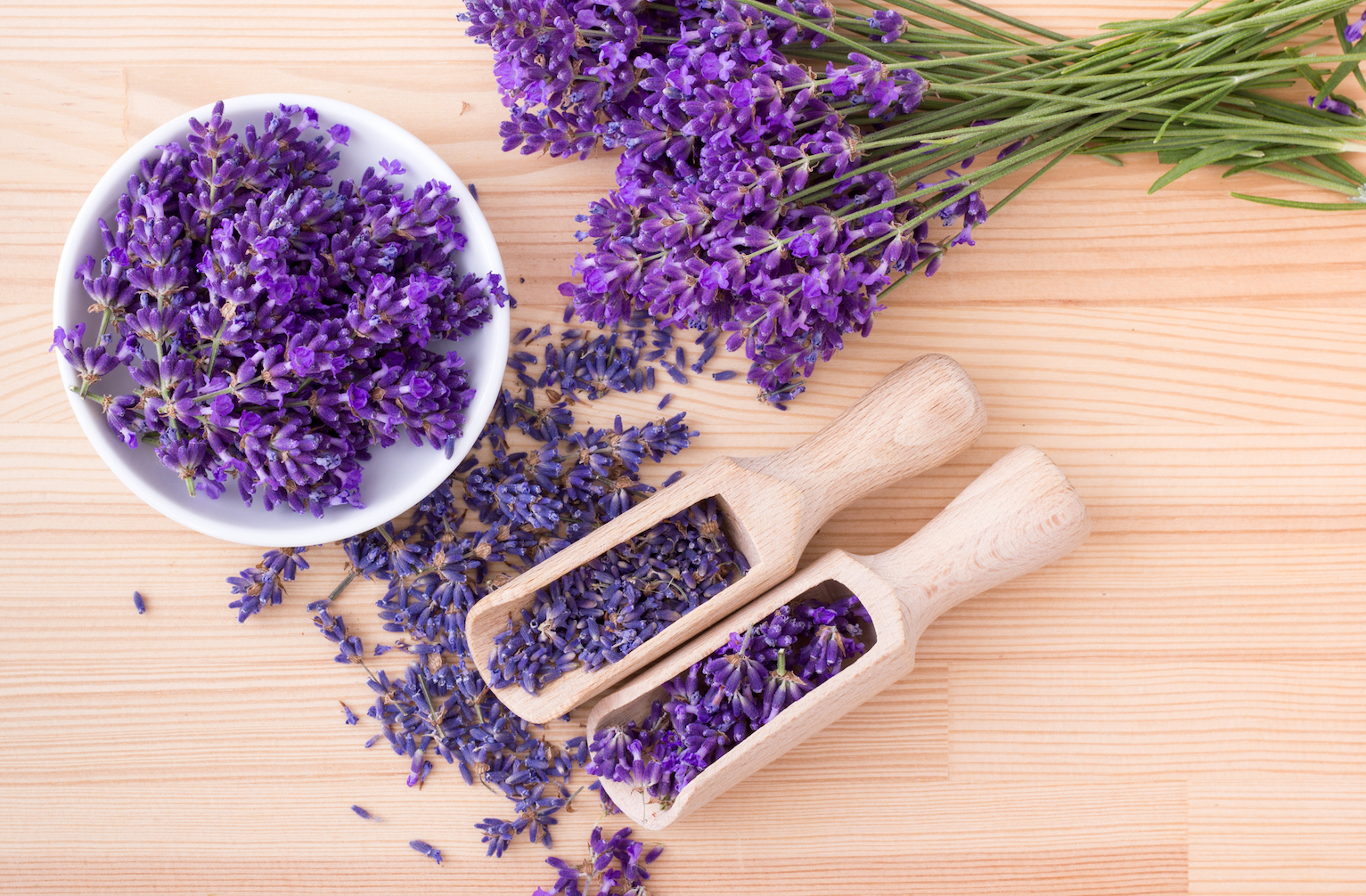 گیاهان دشمن استرس، چه گیاهانی هستند؟ گیاهان دشمن استرس، چه گیاهانی هستند؟
