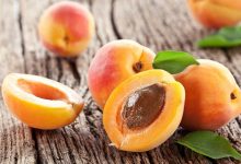خواص باورنکردنی زردآلو برای سلامتی!