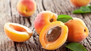 خواص باورنکردنی زردآلو برای سلامتی!
