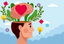 راز تعادل روانی در بشقاب؛ تأثیر رژیم گیاهی بر ذهن و احساسات+ فیلم