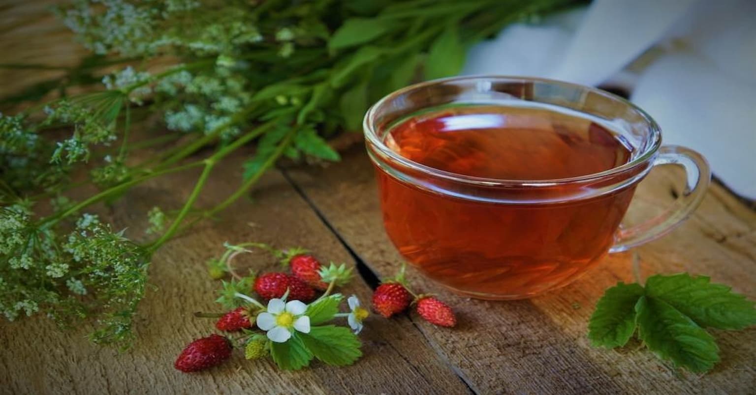 روش صحیح تهیه دمنوش برگ توت سفید روش صحیح تهیه دمنوش برگ توت سفید