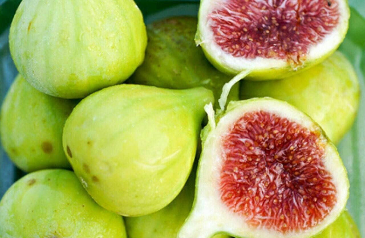 خواص انجیر برای پوست شما چیست ؟+انواع ماسک انجیر خواص انجیر برای پوست شما چیست ؟+انواع ماسک انجیر