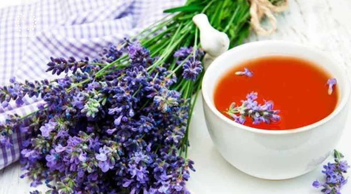 چند مورد از خواص اعجاب انگیز گیاه اسطوخودوس