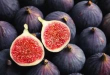 انجیر، میوه‌ای مغذی و خوش‌طعم، سرشار از فیبر، آنتی‌اکسیدان و مواد معدنی است که سلامت بدن را تقویت می‌کند. مصرف روزانه‌ی آن به بهبود گوارش، تقویت استخوان‌ها و افزایش انرژی کمک می‌کند.