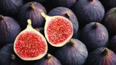 انجیر، میوه‌ای مغذی و خوش‌طعم، سرشار از فیبر، آنتی‌اکسیدان و مواد معدنی است که سلامت بدن را تقویت می‌کند. مصرف روزانه‌ی آن به بهبود گوارش، تقویت استخوان‌ها و افزایش انرژی کمک می‌کند.