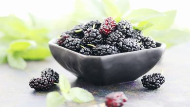 سرو ماکتیل توت سیاه