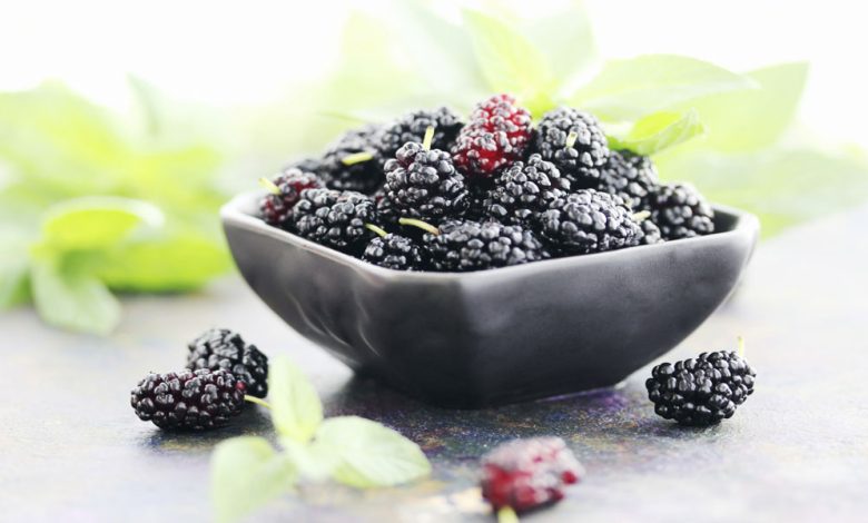 سرو ماکتیل توت سیاه