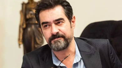 شهاب حسینی