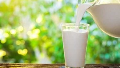 بهترین زمان مصرف شیر برای جذب بیشتر کلسیم چه زمانی است؟