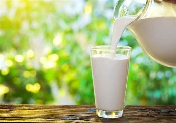 بهترین زمان مصرف شیر برای جذب بیشتر کلسیم چه زمانی است؟