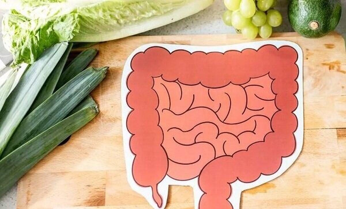 این۶ خوراکی دوست روده هستند!