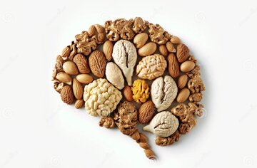 دانههای کوچکی که سرشار از مواد مغذیاند؛ از خواص کاهش وزن گرفته تا حفظ سلامت قلب و مغز