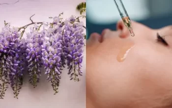 از مزایای جادویی روغن اقاقیا برای پوست غافل نشوید!