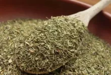 با گیاه تیول و مزایای آن برای بدن آشنا شوید