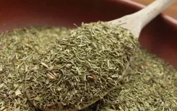 با گیاه تیول و مزایای آن برای بدن آشنا شوید