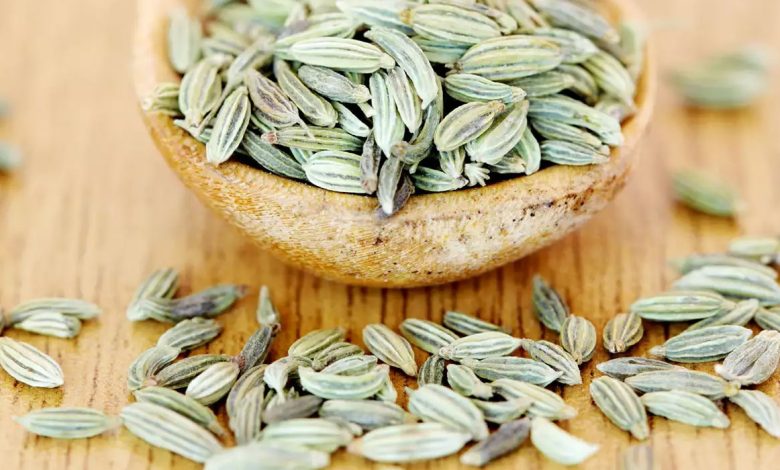 تخم رازیانه
