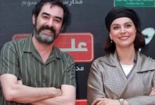 شهاب حسینی