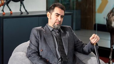 شهاب حسینی
