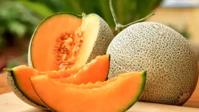 افسانه یا واقعیت؟ ملون تراریخته نیست و برای سلامتی مفید است