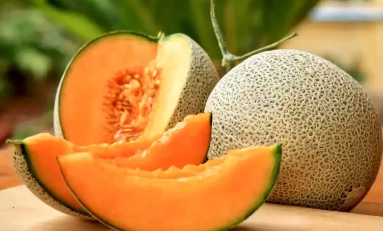 افسانه یا واقعیت؟ ملون تراریخته نیست و برای سلامتی مفید است