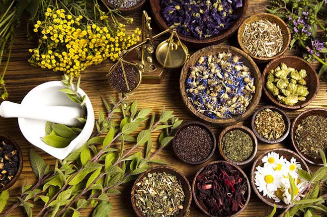 ۹ گیاه معجزهآسا برای کنترل طبیعی فشار خون