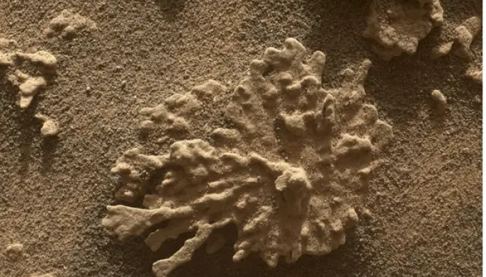 مرجانهای مریخی