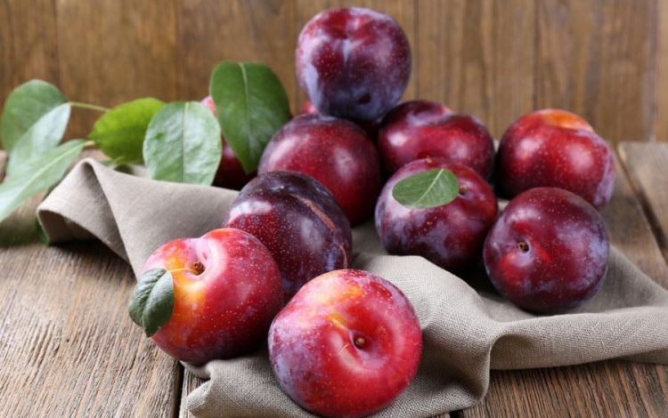 این میوه سیاه تابستانی خون شما را تمیز می‌کند