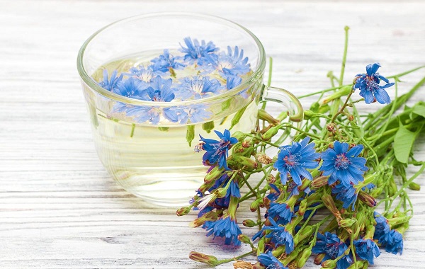 این شربت ها در طب سنتی برای کبد، صفرا، رفع تشنگی و گرمازدگی فوق العاده اند