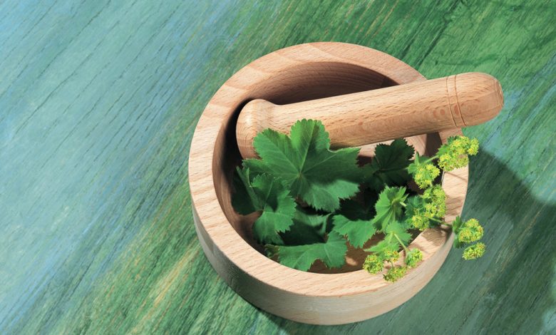 بی‌خطری داروهای گیاهی، باوری غلط