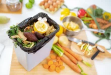 پیاده‌روی اربعین