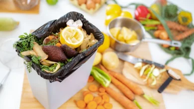 پیاده‌روی اربعین