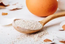 پوسته تخم‌مرغ چگونه به سلامت استخوان کمک می‌کند؟