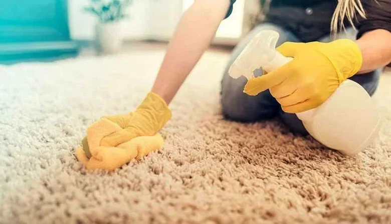 خداحافظ وایتکس؛ ۱۰ جایگزین بیخطر برای تمیزکاری خانه