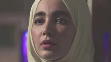 نیکا در سریال پایتخت