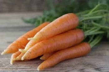 از خواص درمانی تا مضرات مصرف بیش از حد