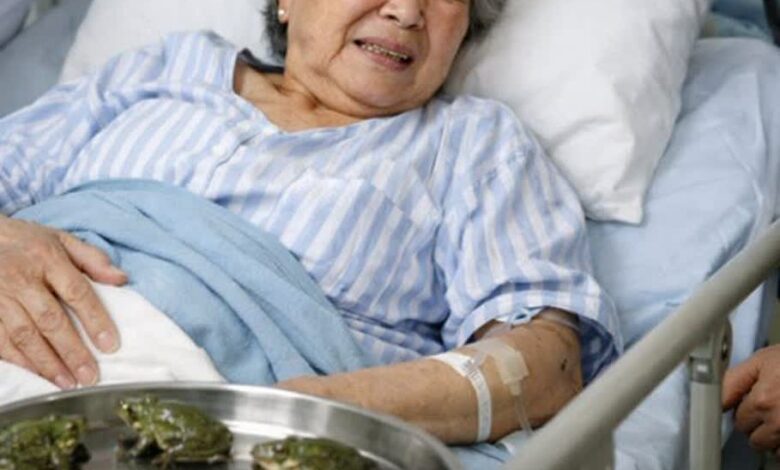 بلعیدن ۸ قورباغه زنده برای درمان کمر درد؛ مادربزرگ چینی راهی بیمارستان شد